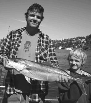 A day out on the harbour with Dad and a nice kingie – how good is that?